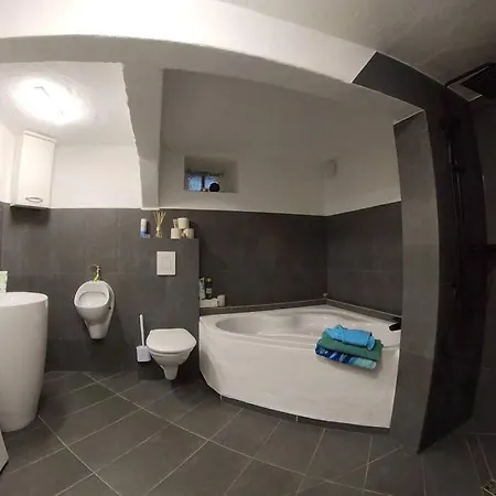 Luxury 1895 Stone & Wood Art House Apartment Rohrbach (Birkenfeld)